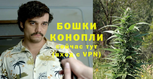 СК Аркадак