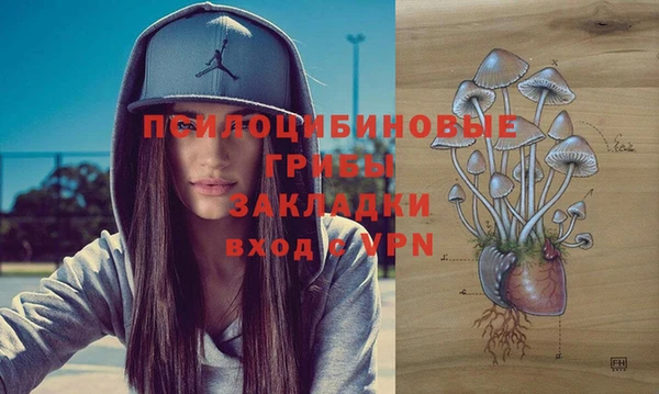 СК Аркадак