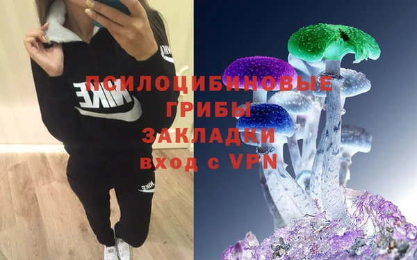 СК Аркадак