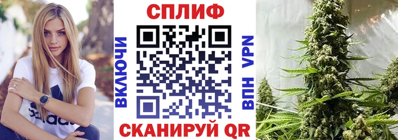 Канабис White Widow Рославль